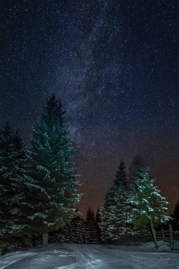 Gökyüzü tam kış dağ orman yıldız