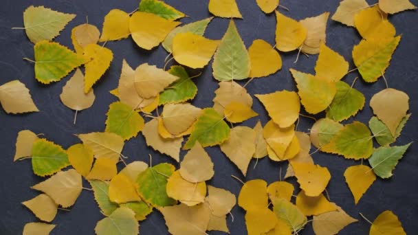 어두운 배경 보드 옆에 가을 나뭇잎이 있는 — 비디오