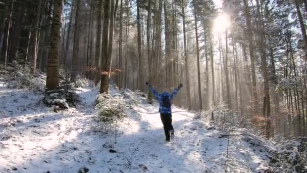 Szczęśliwa kobieta biegnąca przez zimowy las górski z pokrywą śnieżną i promieniami słońca — Wideo stockowe