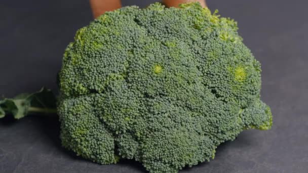 Frisches Brokkoli-Gemüse schneiden — Stockvideo
