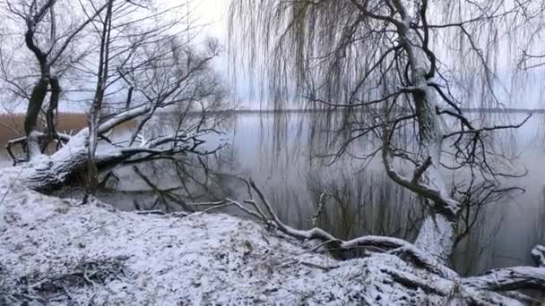 Vinter sjö landskap — Stockvideo