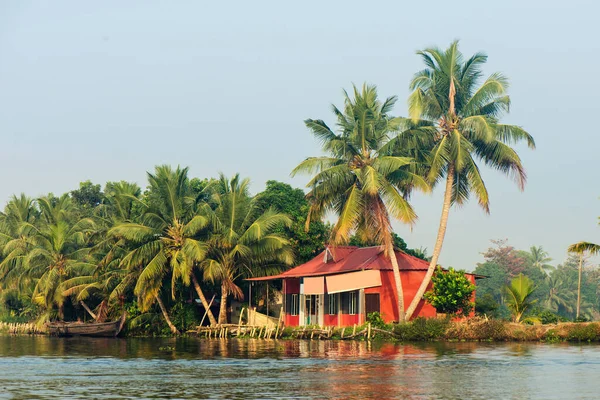 Güzel Kerala durgun suları ve Alappuzha palmiye ağacı manzarası — Stok fotoğraf