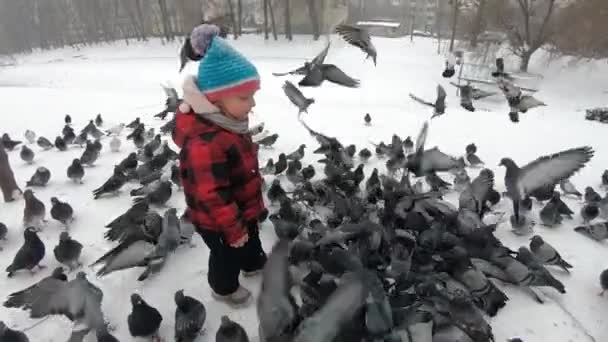 Дитина Тоддлер на зимовій прогулянці годує голубів — стокове відео