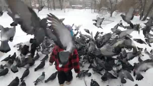 Batole dítě na zimní procházce krmení holubi — Stock video