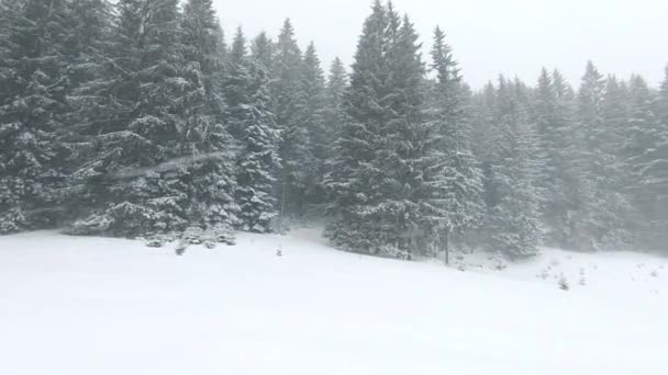 Burzliwa zima z opadami śniegu w górskim krajobrazie — Wideo stockowe