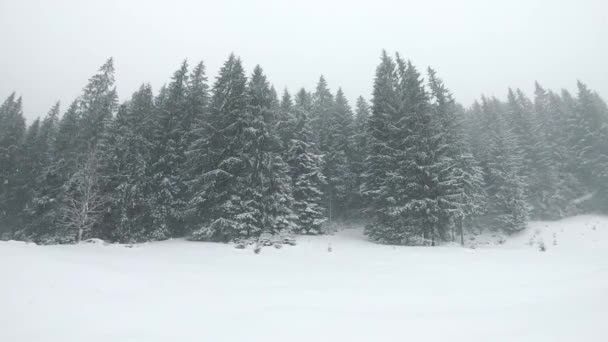 Tormentoso clima invernal con nevadas en el paisaje montañoso — Vídeos de Stock