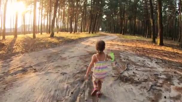 Szczęśliwe dziecko biegające i bawiące się w lesie o zachodzie słońca — Wideo stockowe