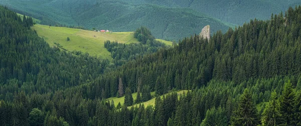 Panorama verdes colinas de montaña — Foto de Stock