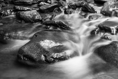 Siyah ve beyaz doku akan su