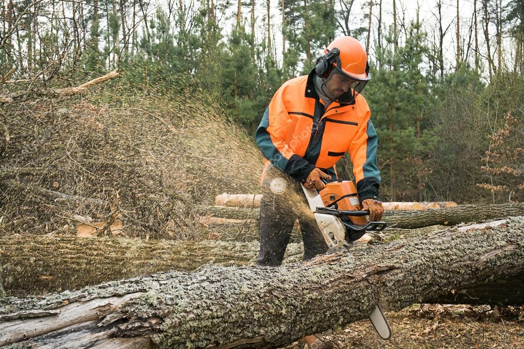Forestry worker with chainsaw is sawing a log. Process of loggin — Stock Photo © Gilitukha 59800199