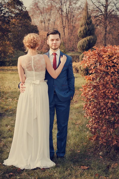 Casal de casamento romântico andando no parque — Fotografia de Stock