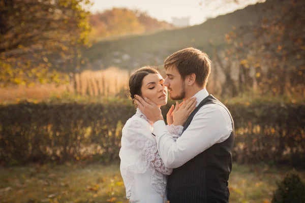 Romantisches Hochzeitspaar umarmt sich — Stockfoto