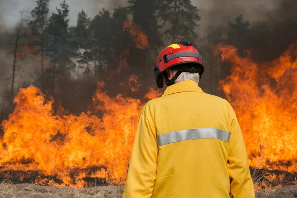 Brandweerman op zoek op bosbrand — Stockfoto