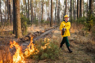 Kontrollü bir yangın ormanda kullanarak itfaiye eri