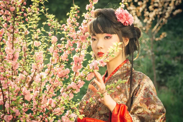 Beautiful asian woman in sakura blossom — Stock Photo, Image