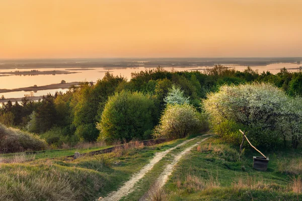 Tomma marken väg igenom ett fält på sunset — Stockfoto