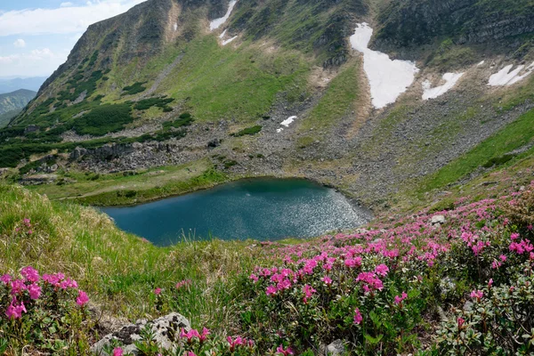 Danau gunung yang indah dengan bunga musim semi — Stok Foto