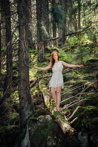 Женщина, идущая в таинственный лес — стоковое фото