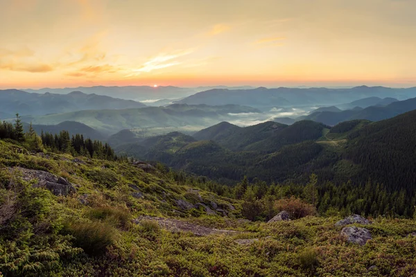 Karpat mounatains sabah — Stok fotoğraf