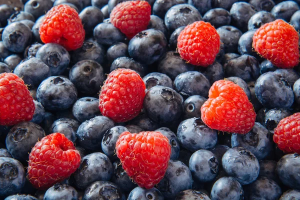 Sağlıklı karışık meyve ve malzemelerle Üstten Görünüm