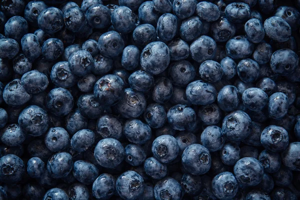 Fresh fruit of blueberry from top view — Stock Photo, Image