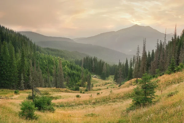 Krásné horské údolí — Stock fotografie