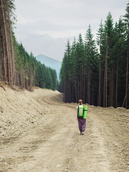Турист с рюкзаками прогулка по горной дороге — стоковое фото