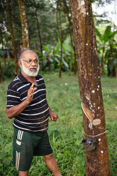 Trabalhador asiático na plantação de árvores de borracha — Fotografia de Stock