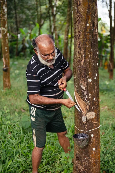Trabalhador asiático na plantação de árvores de borracha — Fotografia de Stock