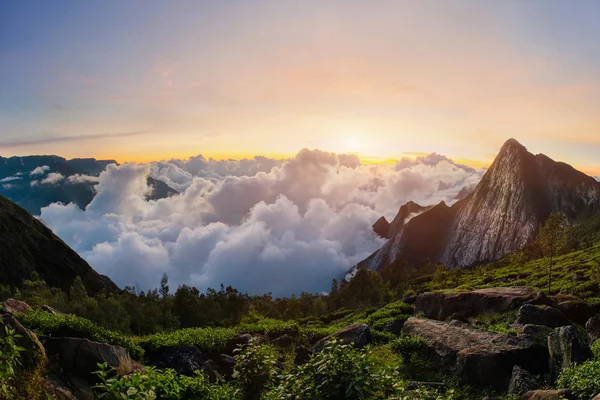 Batı Ghats içinde Meesapulimala zirvesinde gündoğumu — Stok fotoğraf