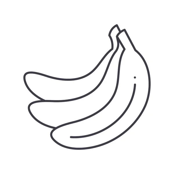 Ícone de banana, ilustração isolada linear, vetor de linha fina, sinal de web design, símbolo de conceito de esboço com curso editável em fundo branco. — Vetor de Stock