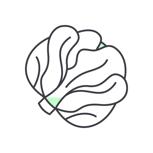 Icône de chou, illustration linéaire isolée, vecteur de ligne mince, signe de conception Web, symbole de concept de contour avec trait modifiable sur fond blanc. — Image vectorielle