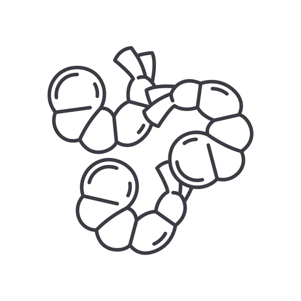 Icône de crevette, illustration linéaire isolée, vecteur de ligne mince, signe de conception Web, symbole de concept de contour avec trait modifiable sur fond blanc. — Image vectorielle