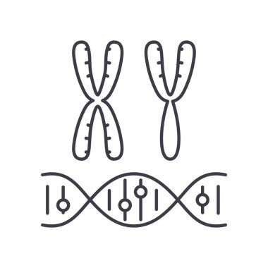 Kromozom simgesi, doğrusal izole edilmiş illüstrasyon, ince çizgi vektörü, web tasarım işareti, düzenlenebilir beyaz arkaplan üzerinde çizgi konsept sembolü.