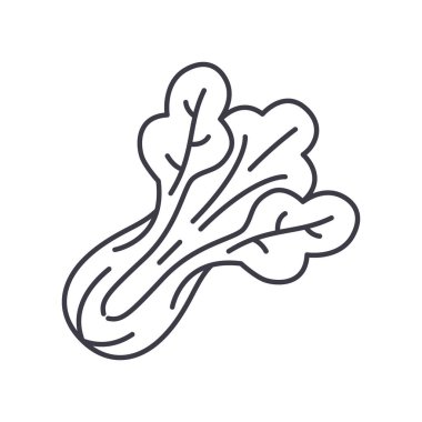 Çin lahana simgesi, doğrusal izole edilmiş illüstrasyon, ince çizgi vektörü, web tasarım işareti, düzenlenebilir beyaz arkaplan üzerinde çizgi konsept sembolü.