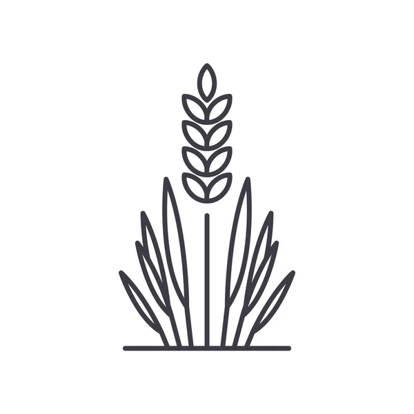 Icono de planta de arroz, ilustración lineal aislada, vector de línea delgada, signo de diseño web, símbolo de concepto de contorno con trazo editable sobre fondo blanco. — Vector de stock