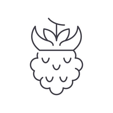 Ahududu simgesi, doğrusal izole edilmiş illüstrasyon, ince çizgi vektörü, web tasarım işareti, düzenlenebilir beyaz arkaplan üzerinde çizgi konsept sembolü.