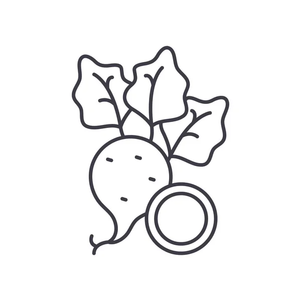 大根の野菜のアイコン、線形孤立イラスト、細い線ベクトル、ウェブデザイン、白い背景で編集可能なストロークとアウトラインコンセプトシンボル. — ストックベクタ