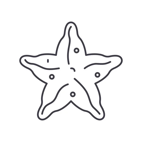 Starfish icon, linear isolated illustration, thin line vector, web design sign, outline concept symbol with editable stroke on white background. — Stock Illustration Starfish icon, linear isolated illustration, thin line vector, web design sign, outline concept symbol with editable stroke on white background. Vector Graphics