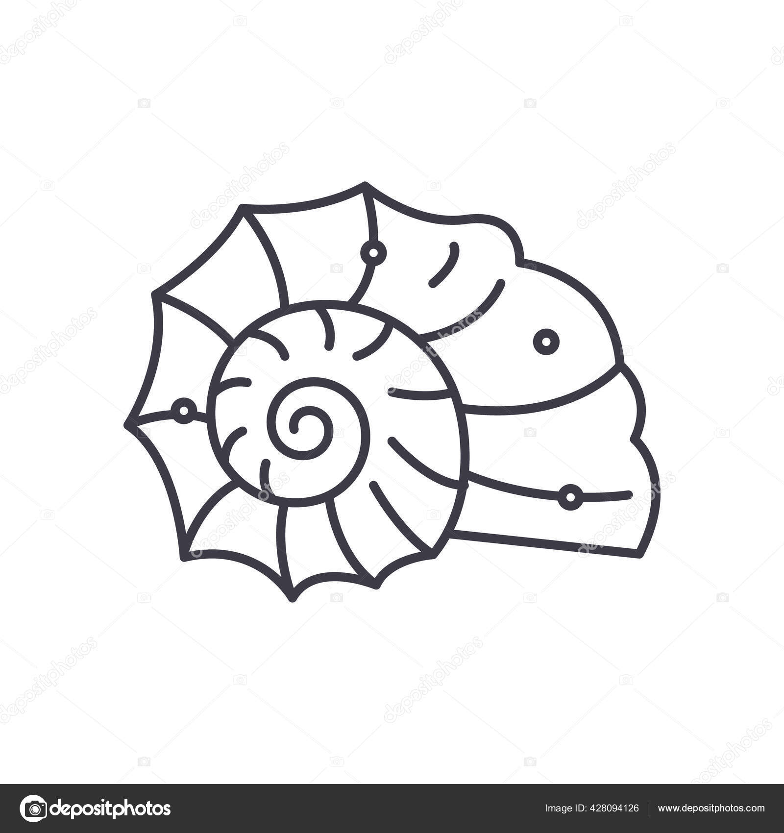 68 Nautilus Shell Stroke Icon Vector Images Free Royalty Free Nautilus Shell Stroke Icon Vectors Depositphotos 68 Nautilus Shell Stroke Icon Vector Images Free Royalty Free Nautilus Shell Stroke Icon Vectors Depositphotos