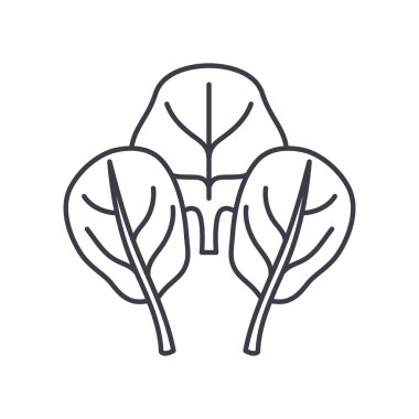 Spinage simgesi, doğrusal izole edilmiş illüstrasyon, ince çizgi vektörü, web tasarım işareti, düzenlenebilir beyaz arkaplan üzerinde çizgi konsept sembolü.