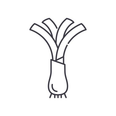 Pırasa konsept simgesi, doğrusal izole çizim, ince çizgi vektörü, web tasarım işareti, düzenlenebilir konsept sembolü beyaz arkaplan üzerinde.