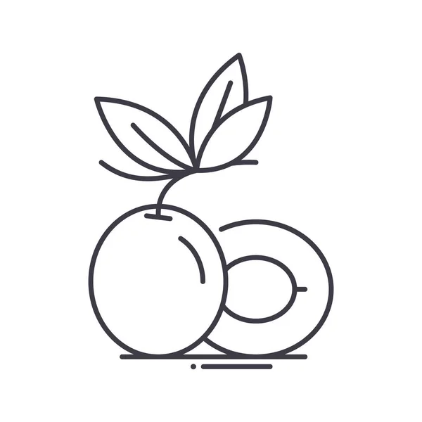 桃のアイコン、線形孤立イラスト、細い線ベクトル、ウェブデザイン、白い背景に編集可能なストロークとアウトラインコンセプトシンボル. — ストックベクタ