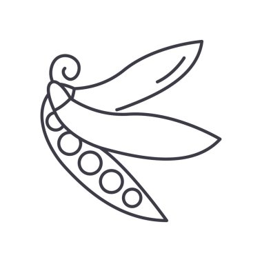 Bezelye simgesi, doğrusal izole edilmiş illüstrasyon, ince çizgi vektörü, web tasarım işareti, düzenlenebilir beyaz arkaplan üzerinde çizgi konsept sembolü.