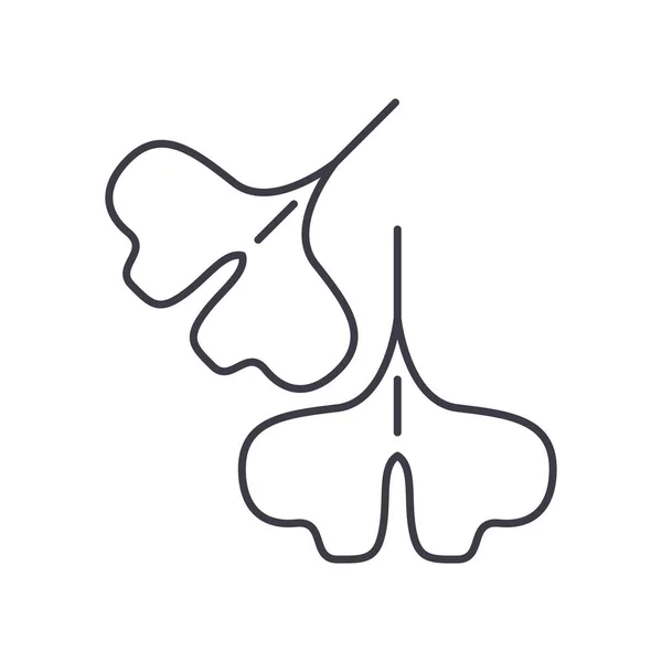 Icône de plante de Ginkgo, illustration isolée linéaire, vecteur de ligne mince, panneau de conception Web, symbole de concept de contour avec trait modifiable sur fond blanc. — Image vectorielle