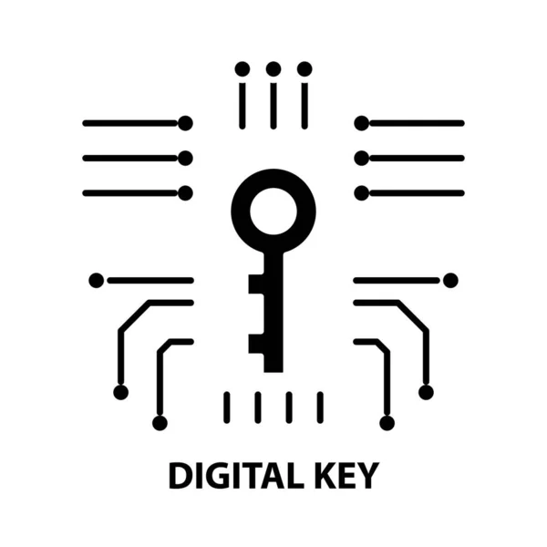 디지털 키 아이콘, 검정 벡터 사인 편집 가능 한 획, 컨셉 일러스트 — 스톡 벡터
