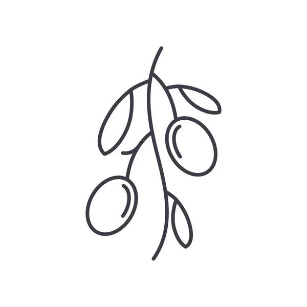 Icono de olivo, ilustración lineal aislada, vector de línea delgada, signo de diseño web, símbolo de concepto de contorno con trazo editable sobre fondo blanco. — Archivo Imágenes Vectoriales