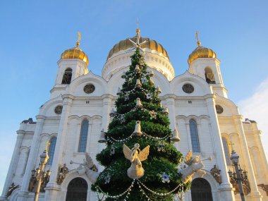 Noel ağacı İsa'nın tapınağı önünde