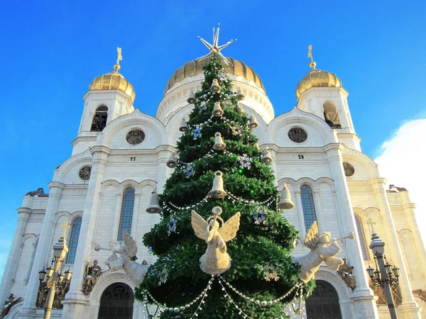 Albero di Natale davanti al tempio di Cristo — Foto Stock