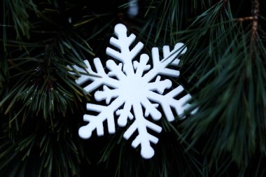 Çam ağacının arka planında beyaz kar tanesi